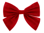 Bow tie hair slide rouge foncé