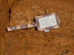 Luggage Tag palmeraie