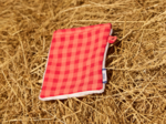 Make-up Remover Glove coral red gingham