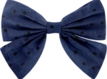 Bow tie hair slide blue english embroidery