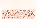 Stretch jersey headband  nude terracotta pansies