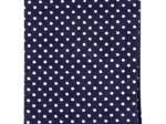 Card holder navy gold star